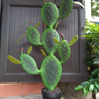 hoa giả trang trí