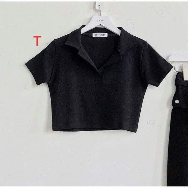 Áo Croptop Polo Basic [FREESHIP] chất thun dày dặn mềm mại kiểu dáng Ulzzang -CT14- LUXCY store