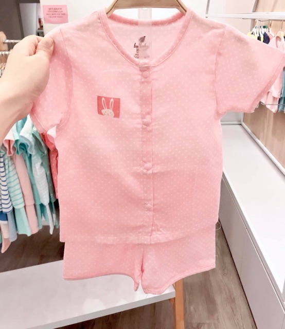 Bộ cúc giữa hè Lullaby