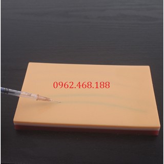 Mô hình tiêm tĩnh mạch