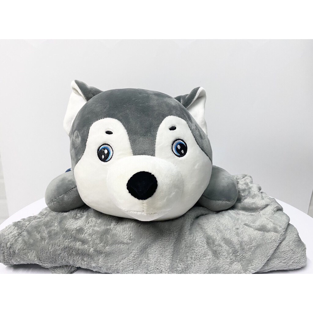 (HQ)Bộ chăn gối văn phòng Mền Gối Gấu Bông Chó Husky Mặt Ngáo 3 Trong 1