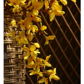 Cành Mai Mỹ-hoa lụa trang trí cao 90cm