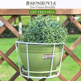 Giỏ treo chậu size 2gl <đk 22cm>