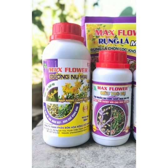 Combo 1 Chai siêu tạo nụ và 1 chai Dưỡng nụ mai chỉ 130.000đ