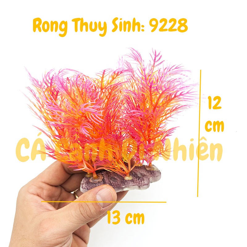 Mô hình cây rong Thủy Sinh trang trí hồ cá cảnh size 12CM