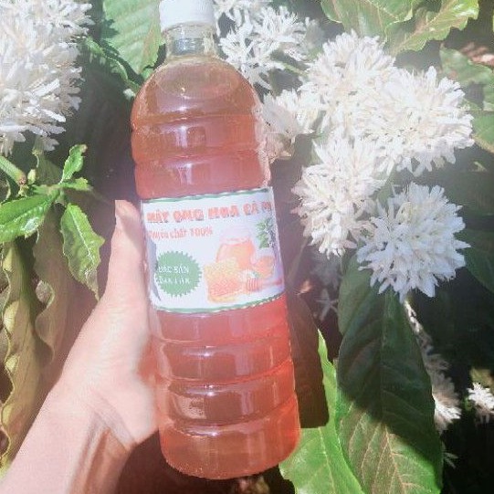 1 Chai  mật ong hoa cà phê Đăk Lăk