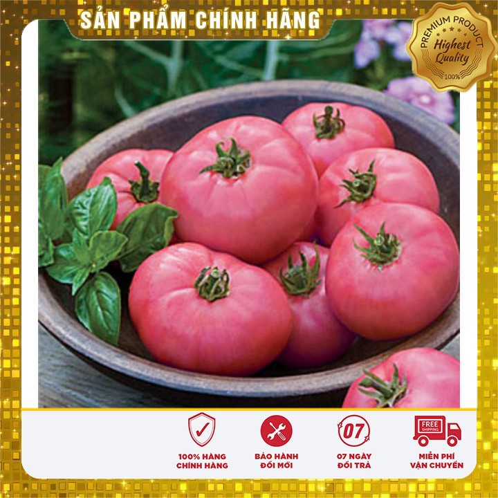 Hạt giống cà chua hồng LUCKY SEED -30 hạt