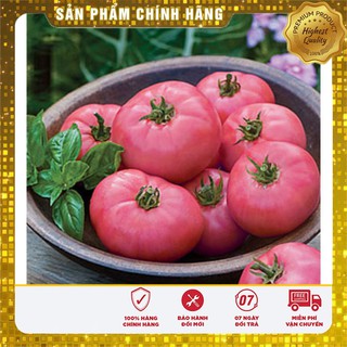 Hạt giống cà chua hồng LUCKY SEED -30 hạt