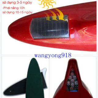 Vây cá mập ăng ten ô tô
