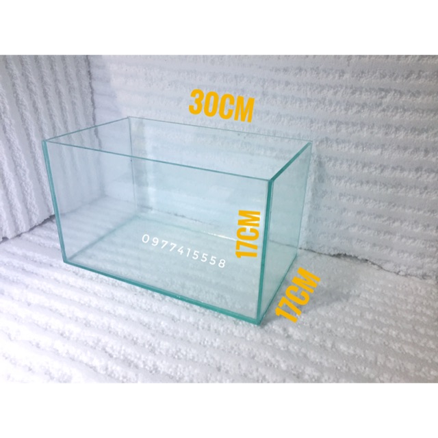 Bể cá 30*17*17cm - bể mini để bàn