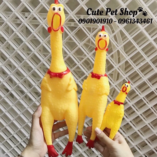 Gà nhựa Shrilling Chicken đã về đủ size