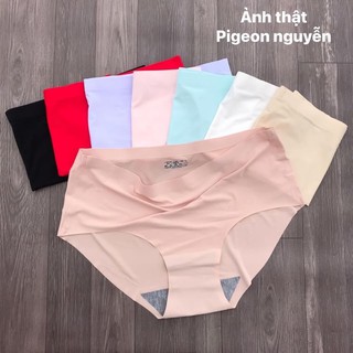 Set quần chíp su đúc 8c