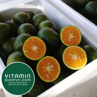 Cam sành Hà Giang  tươi hoặc loại lát  sấy khô 1kg