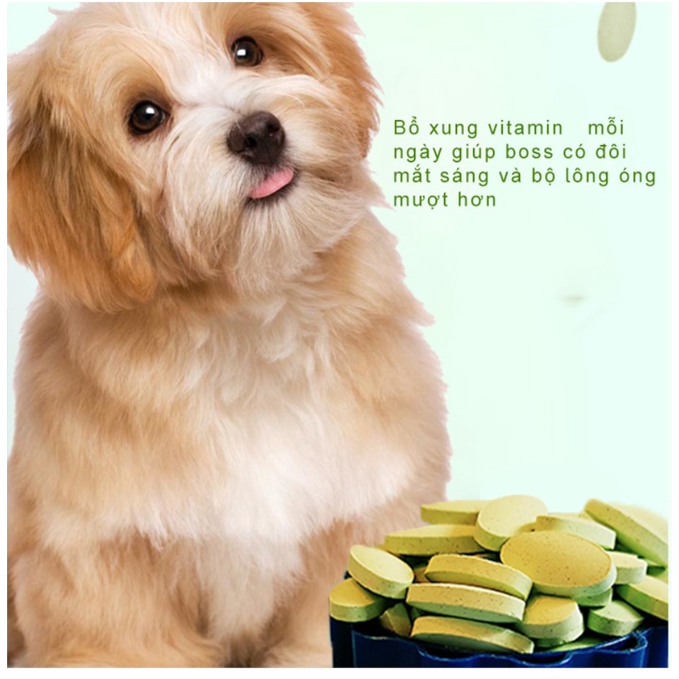 Vitamin tổng hợp cho chó mèo Hipipet MUTILVITAMIN TABLET mượt lông tăng cường thể chất