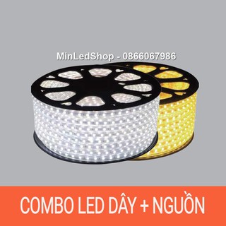 Combo đèn led dây đôi 2 hàng trang trí nhà, cây (màu trắng, vàng, xanh dương) + dây nguồn