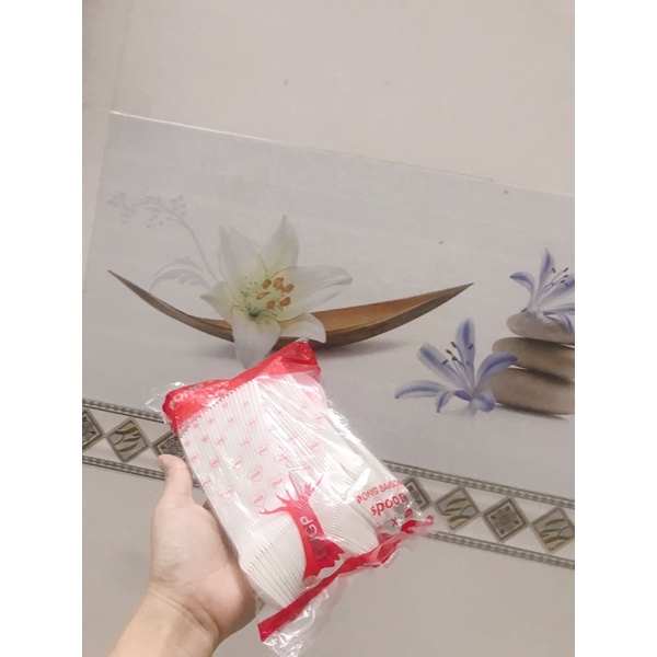 250 gr Muỗng nhựa