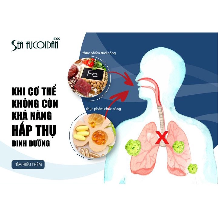 (HÀNG CHÍNH HÃNG) COMBO 2 CHAI SEA FUCOIDAN DX DẠNG NƯỚC 900ML