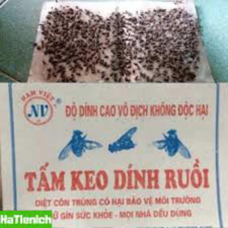 Bộ 10 miếng keo dính ruồi Nam Kiệt siêu dính
