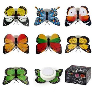Combo 50đèn bướm dân tường trang trí phát sáng