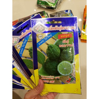 HẠT GIỐNG CHANH THÁI LAN (TRÁI CHÚC)