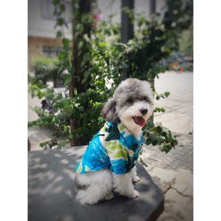 Áo Chó Mèo Hoạ Tiết - Áo Vải Cotton Mát ít Bám Lông