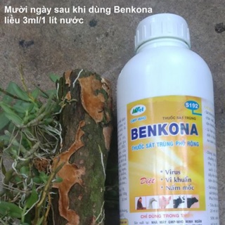 Benkona Thuốc sát trùng phổ rộng chai 1 Lít