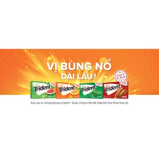 (Ship hỏa tốc) Kẹo cao su Trident Mỹ vỉ 14 stick