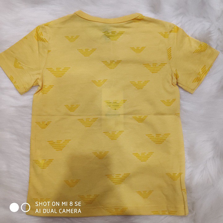 Áo thun bé trai, áo thu họa tiết nhiêu màu bé trai 013067