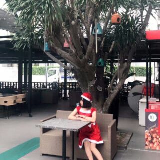 Set đầm noel người lớn