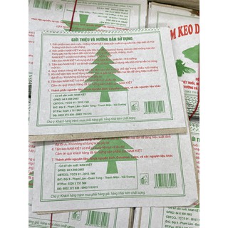 10 Miếng keo dán ruồi loại lớn M2T