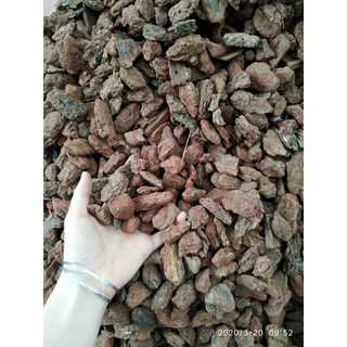 5kg vỏ thông trồng lan loại đẹp 3x4