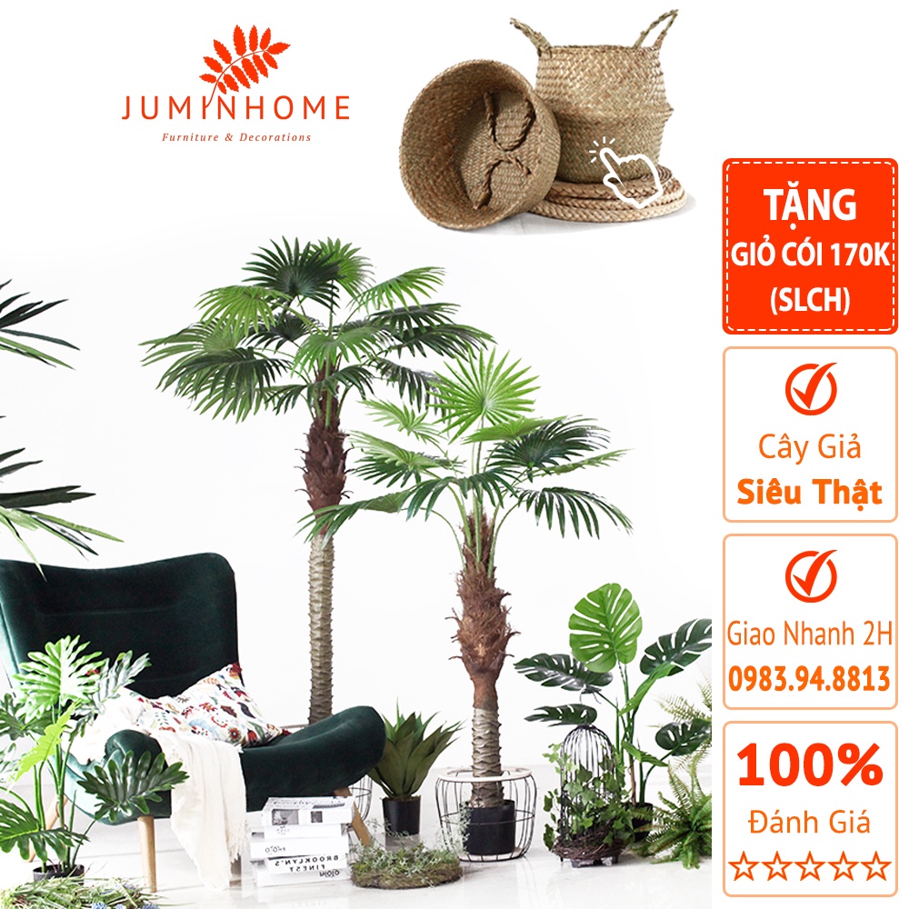 Cây giả, Cây cọ cảnh giả, chà là, trà là - Cây giả decor trang trí nhà cửa nội thất phòng khách phòng ngủ