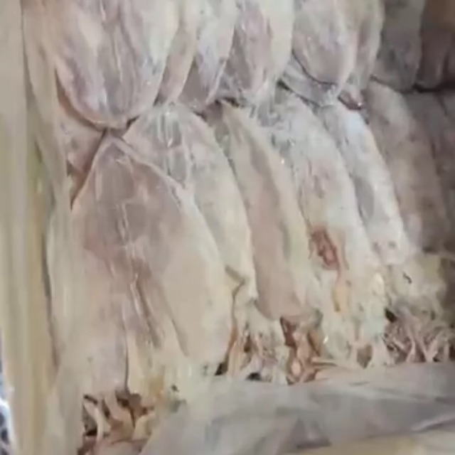 Combo 7 con mực khô mini loại ngon | BigBuy360 - bigbuy360.vn