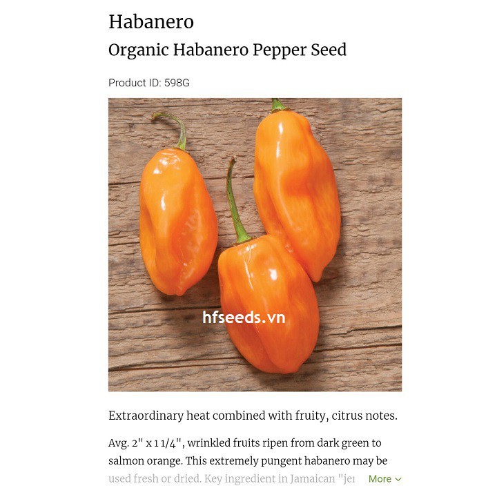 [Hạt giống Mỹ] Hạt giống ớt siêu cay Habanero - tỷ lệ nảy mầm 90% (gói 10 hạt) NHẬP KHẨU 100%