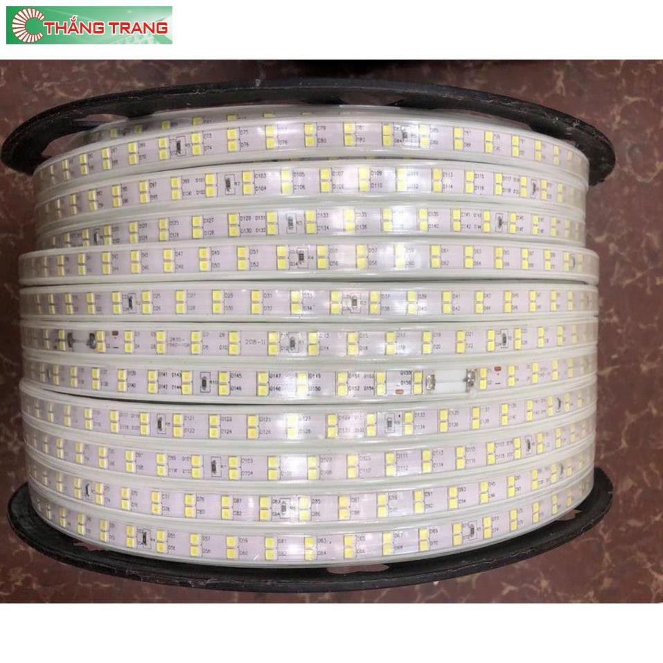 Đèn Led dây đôi 2835 , ống nhựa 220V 20m trở lên Tặng Nguồn