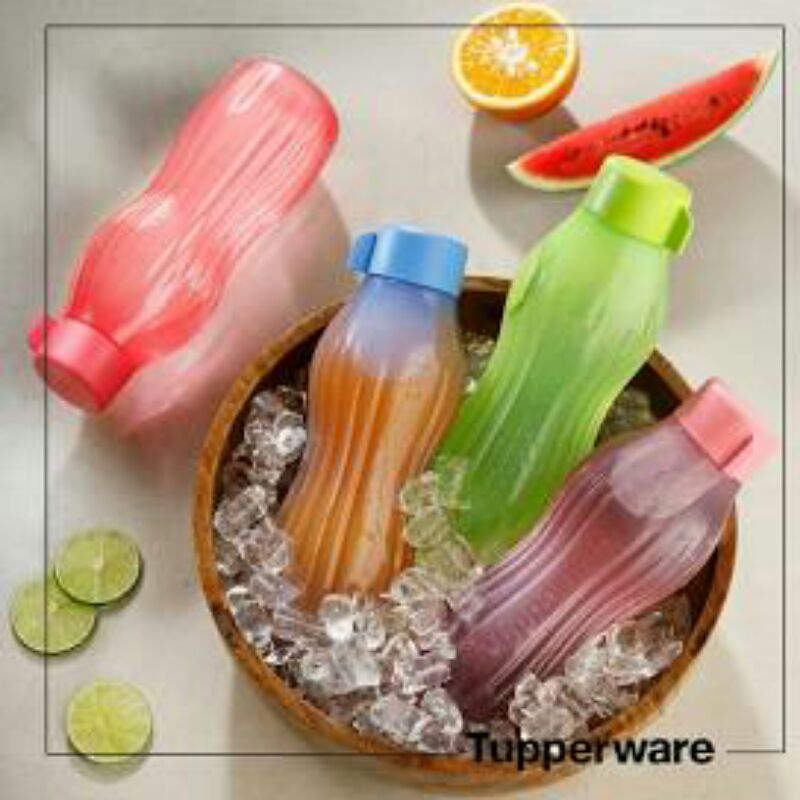 Bình nước Eco Bottle Freezerable 880ml