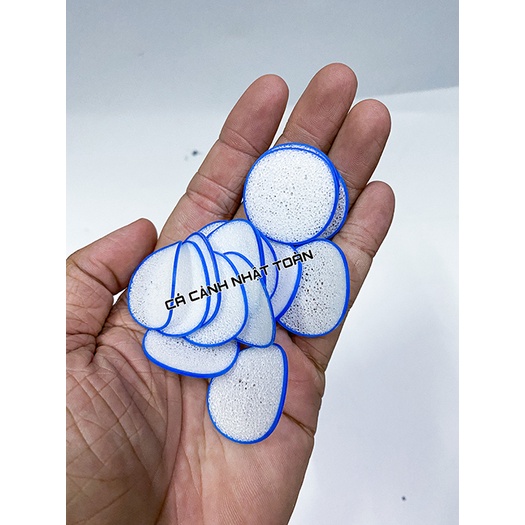 MUTAG BIOCHIP VẬT LIỆU LỌC GIÁ THỂ VI SINH CAO CẤP CỦA ĐỨC 50G