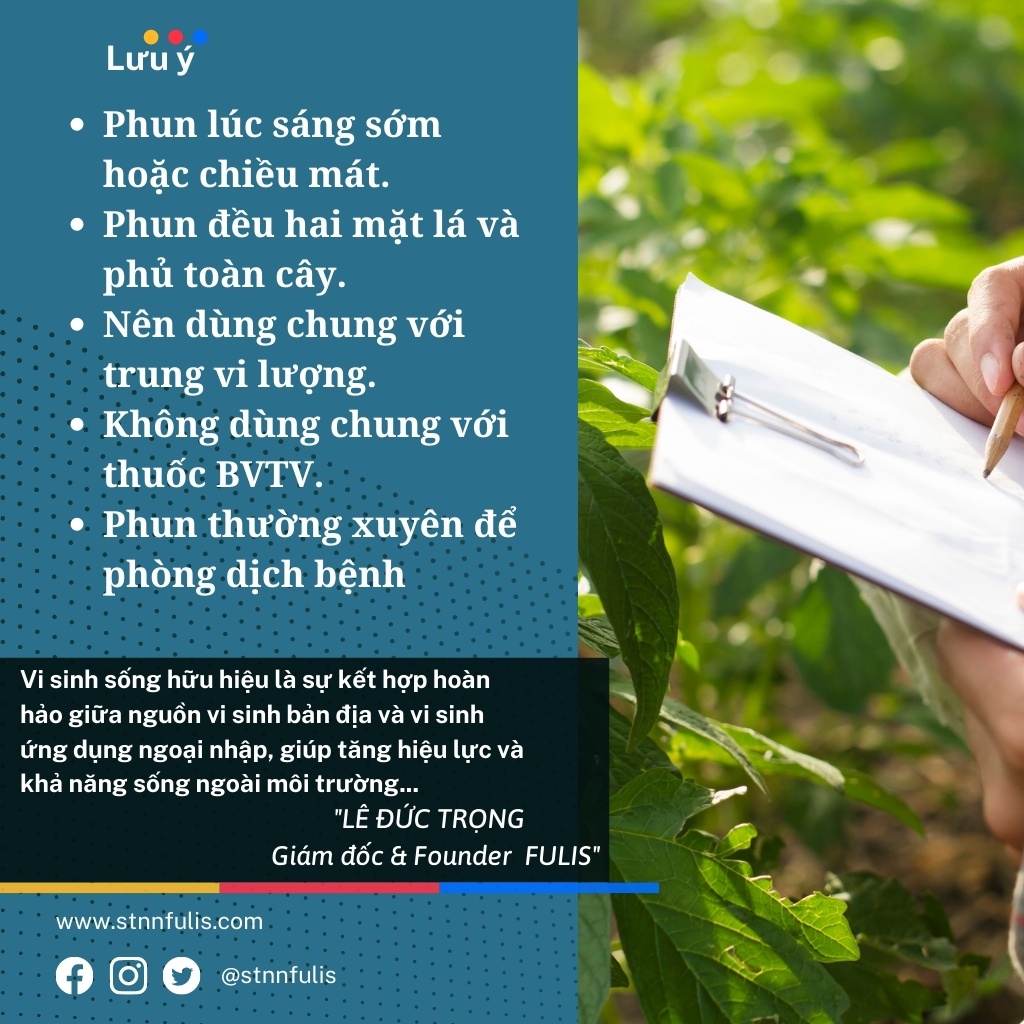 Dịch Đạm Cá Vi Lượng Hữu Cơ Cho Rau, Củ, Quả, Lúa DICA Phát Đọt, Bung Mầm, Giá Rẻ Chính Hãng - stnnfulis