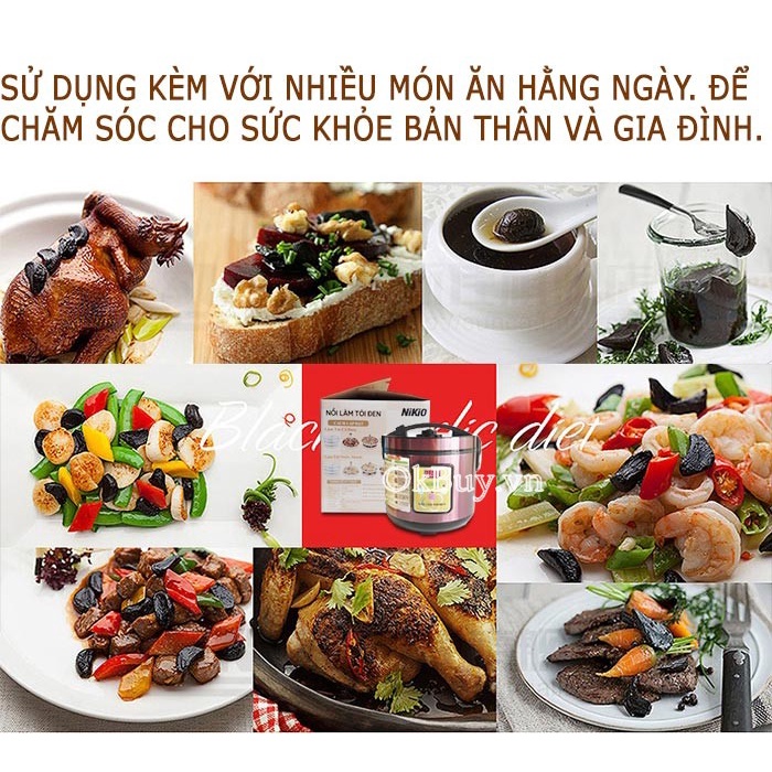 Nồi Tỏi Đen Gia Đình Nikio NK-688 Nhật Bản