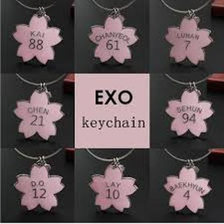 keychain/keyring anh đào exo(có sẵn)