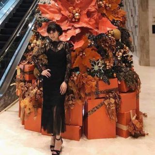 Đầm body ren tiểu thư sang chảnh