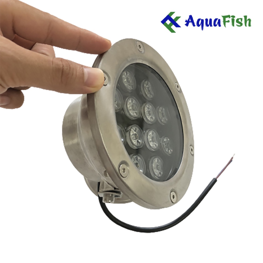 Đèn Âm Nước Chuyên Dụng Dành Cho Hồ Cá Koi, Hồ Cá Ngoài Trời, Hòn Non Bộ