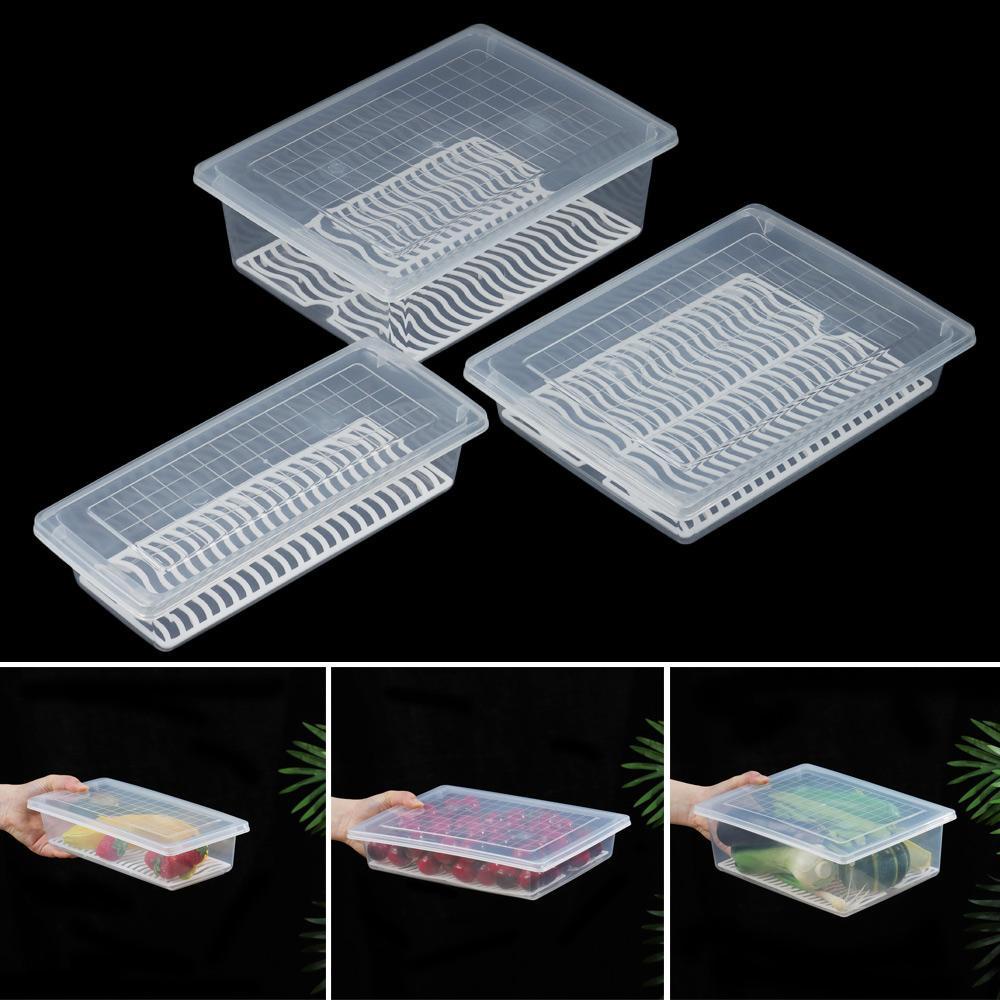 Hộp Nhựa Trong Suốt Đựng Thực Phẩm Để Tủ Lạnh Tiện Dụng
