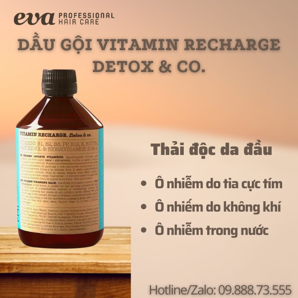 Dầu Gội Ngăn Ngừa Rụng Tóc, Thải Độc Da Đầu Vitamin Recharge Detox Gội Xả 2 Trong 1, Không Chứa Silicon