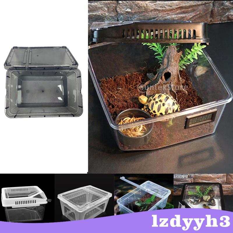 Hộp Nhựa Đựng Thức Ăn Cho Bò Sát / Côn Trùng