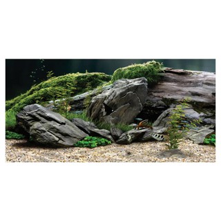 Decal dán hồ cá 3D thủy sinh