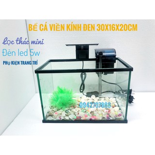 Bể cá mini viền kính đen 30x16x20cm kèm COMBO( tặng vỏ sò biển, cây trang trí, thức ăn cá)