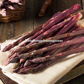 Hạt giống măng tây tím