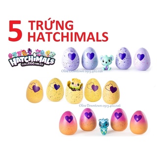 🍀 COMBO 5 Trứng nở thần kỳ Khác nhau - Hatchimals Đồ chơi VNXK