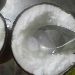 Dừa sáp Cầu kè Trà Vinh